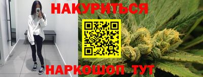 стафф Нальчик