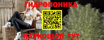 стафф Нальчик