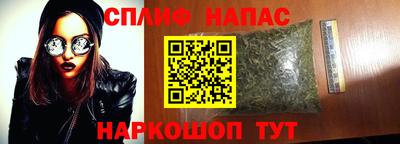 стафф Нальчик