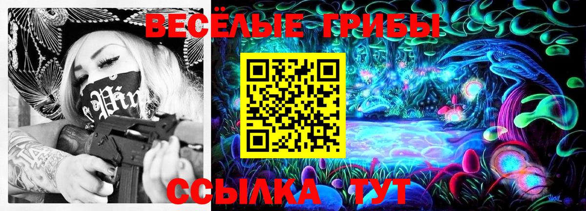 Заринск  цены наркотик  Вход с VPN  Псилоцибиновые грибы GOLDEN TEACHER 